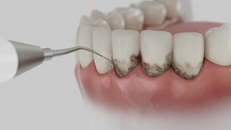 Reliable Dental contractor in Marquette County County, MI by Dentist Open Now